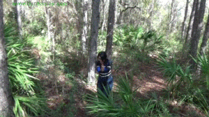 www.jimhunterslair.com - Bound, gagged and lost in the woods thumbnail