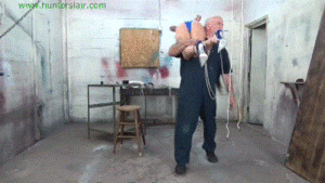 www.jimhunterslair.com - Bikini bound pixie's crotch rope torments thumbnail