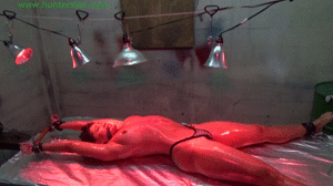 www.jimhunterslair.com - Hot curvy Latina stretched out & roasted to perfection  thumbnail