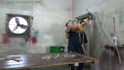 www.jimhunterslair.com - Bitchy blond cruelly hogtied on the Hunter's table thumbnail