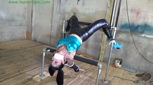 www.jimhunterslair.com - Inverted breast bound on the un-parallel bars thumbnail
